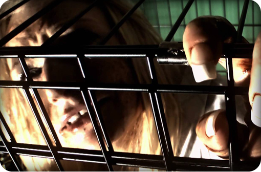 anna-scream-queen-killer-review