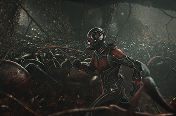 antmanhr