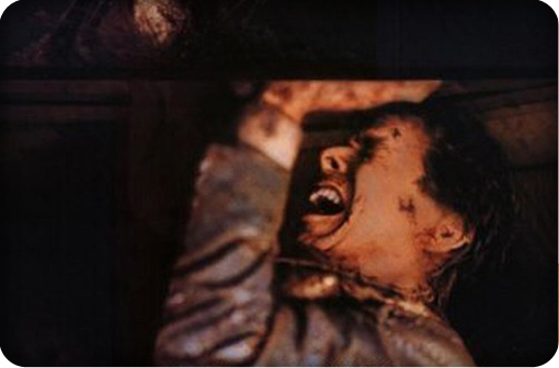 ba_dvd_header