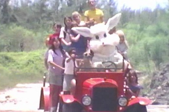 bunny