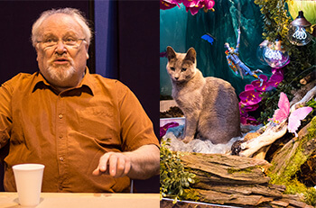 catshow