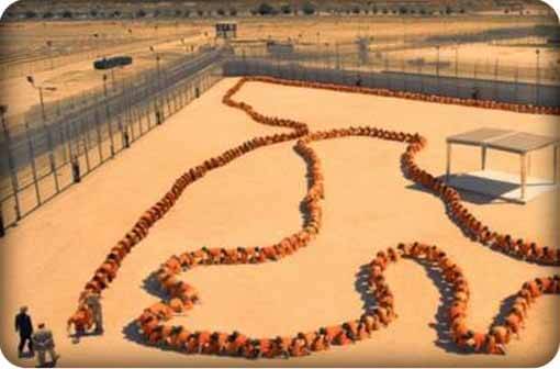 centipede-3-trail