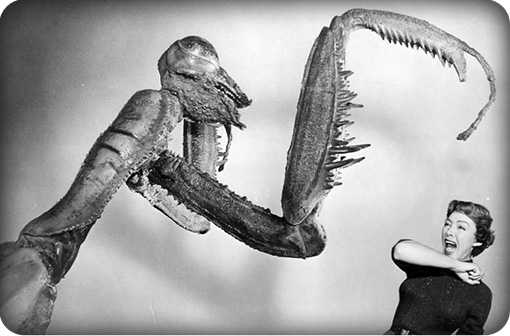 deadlymantis