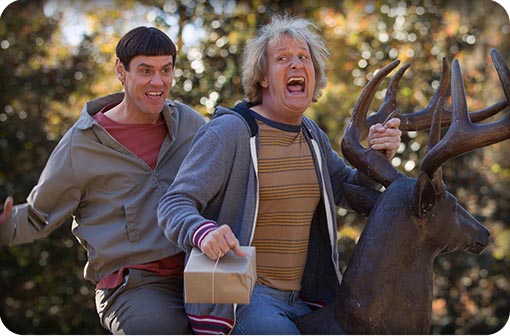 dumbanddumberto