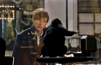 fantastic-beasts-movie