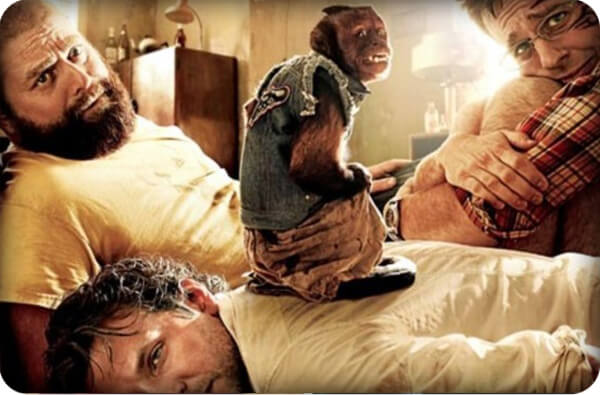 hangover2