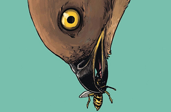 THE RETURN OF THE HONEY BUZZARD - STARBURST Magazine