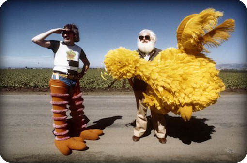 iambigbird