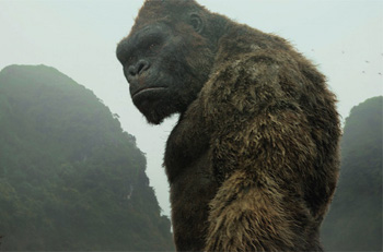 kong-skull-rev