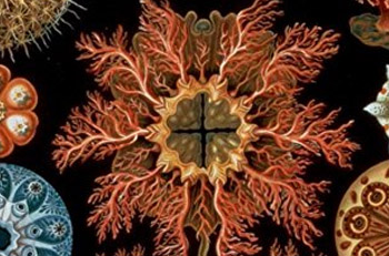 lovecraft-horror-storied