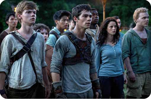 maze-runner-dvd