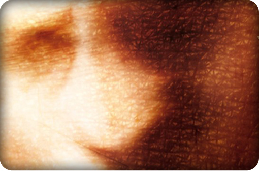 mommoth_book_of_body_horror_review