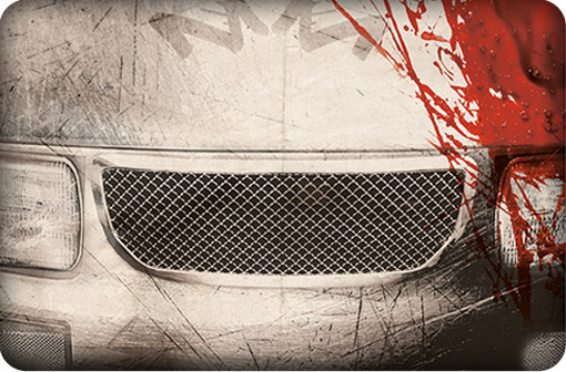 roadkill_joseph_dlacey