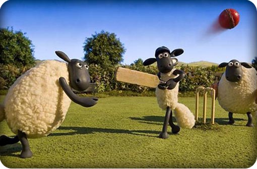 shaunflock