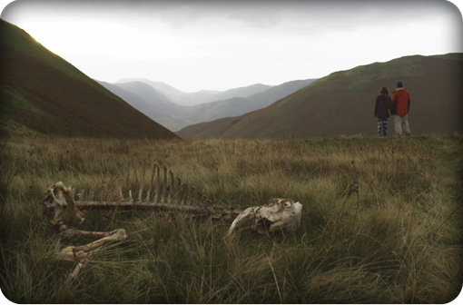 sightseers_review