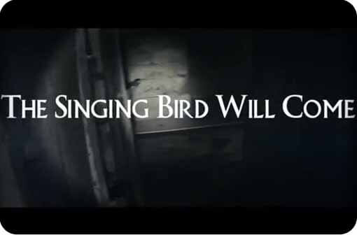singing-bird