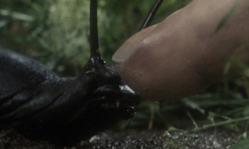 slugs-blu-ray