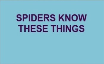 spiders-know-these-things