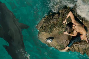 theshallows