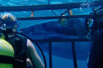 47-metres-down