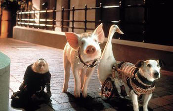 babe-pig-in-the-city