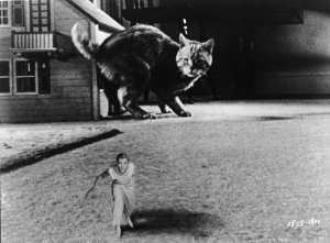 shrinking man