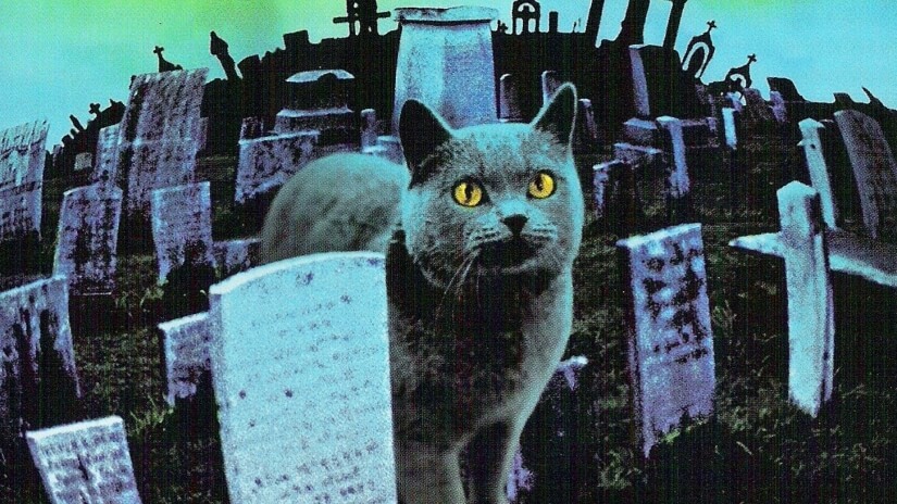 Pet Sematary Cat