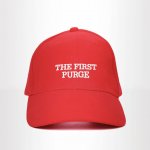 The First Purge