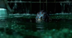 Shape Water