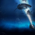 47 Meters Down
