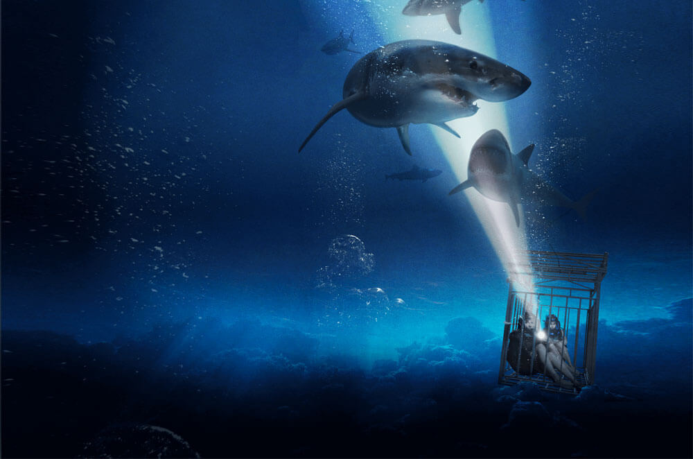 47 Meters Down