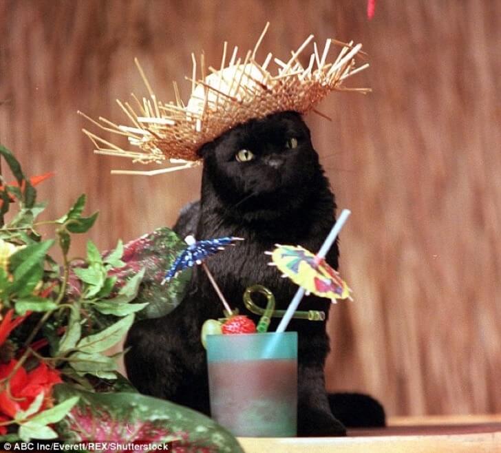 Salem Sabrina