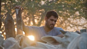 neon bull