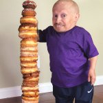 verne troyer