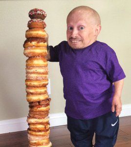 verne troyer