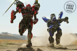 Bumblebee Decepticons