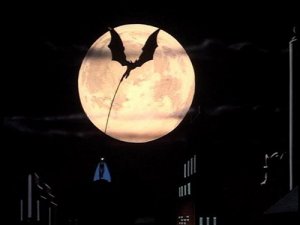 Kevin Altieri Batman: The Animated Series On Leather Wings
