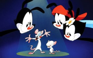 Animaniacs, Pinky and the Brain