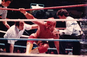 Hulk Hogan