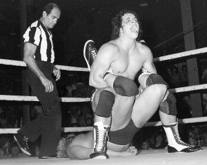 Bret Hart