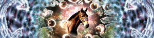 horse destroys the universe