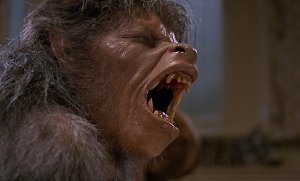 american werewolf