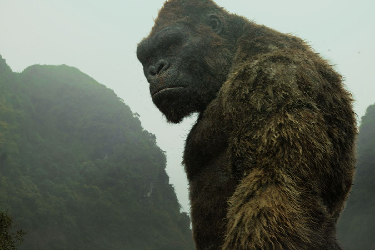 Kong: Skull Island