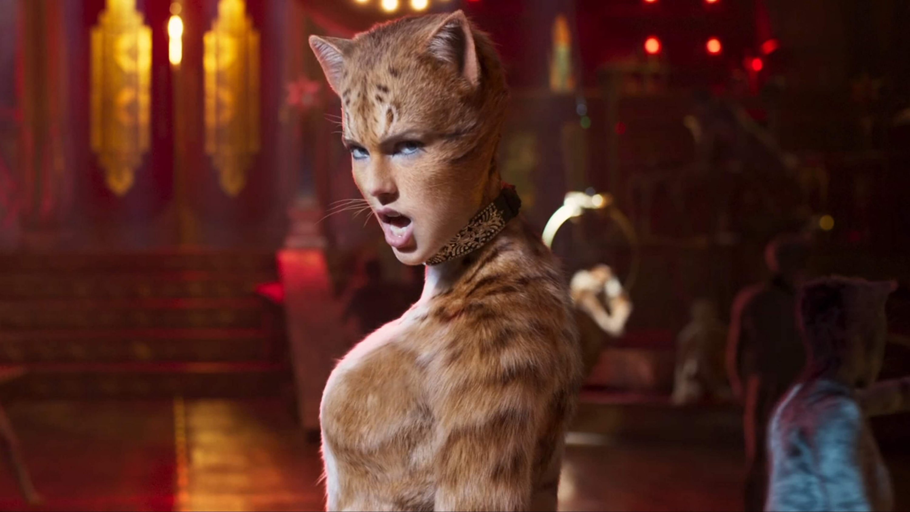cats trailer
