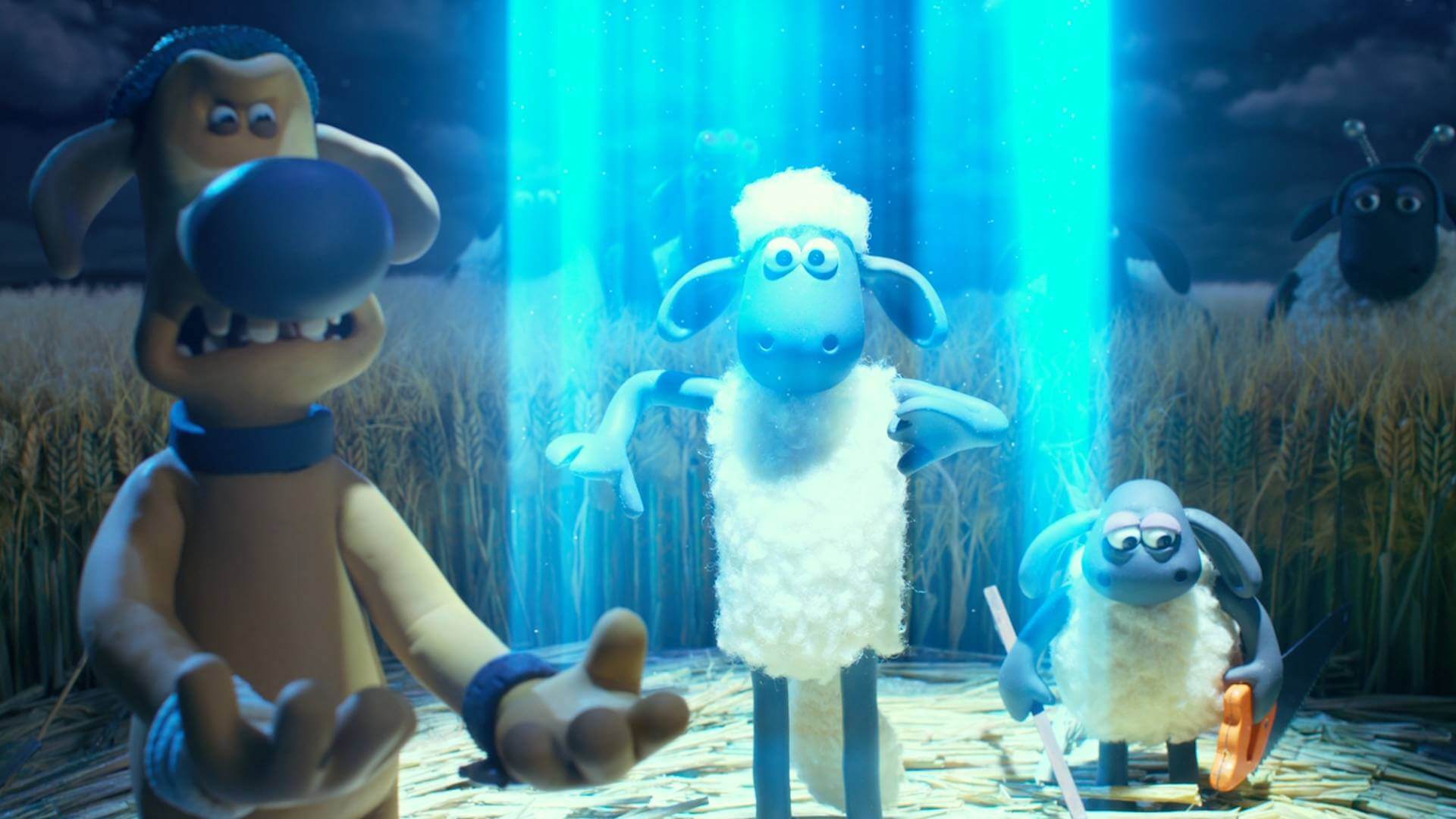 sheep