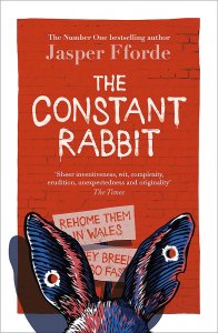 constant rabbit