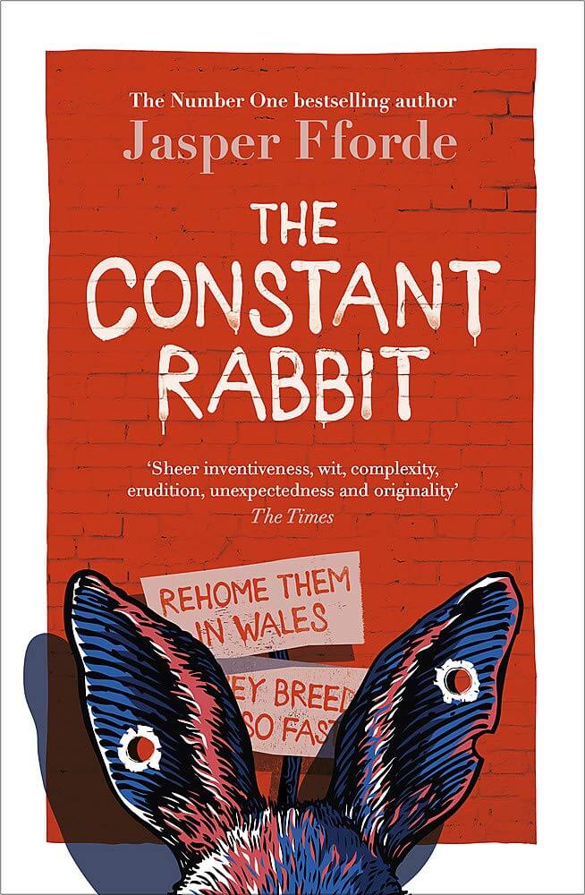constant rabbit