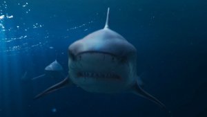 Deep Blue Sea 2