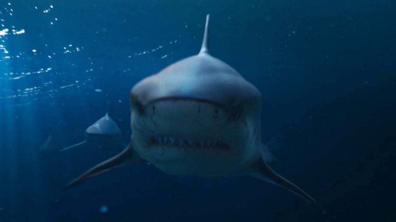Deep Blue Sea 2