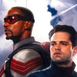 The Falcon and the Winter Soldier